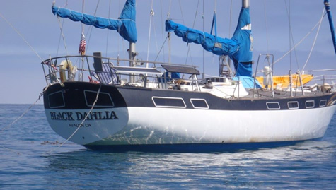 Black Dahlia Sailboat